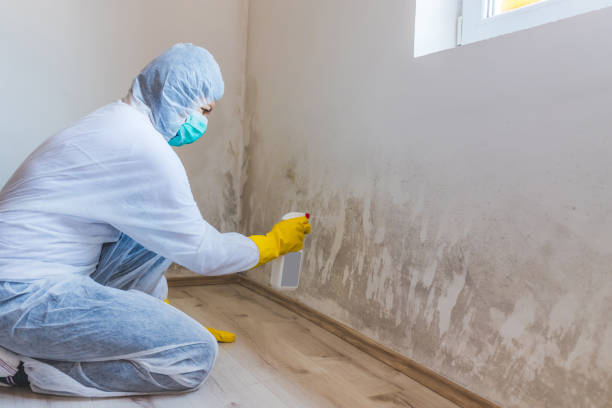 Licensed Mold Testing service in Schertz, TX - WQB Mold Removal