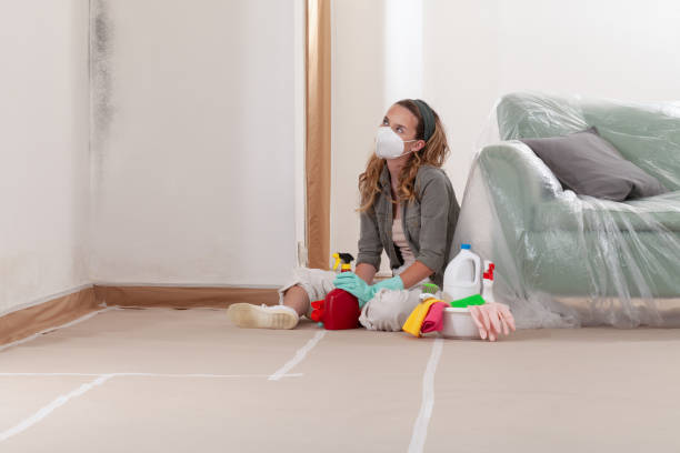 Reliable Mold Testing contractor in Schertz, TX by WQB Mold Removal